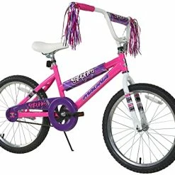 Coupon ⌛ Dynacraft 8109-25ZTJ 👧 Girls Sapphire Magna Bike, Silver / Pink, 20" 😉